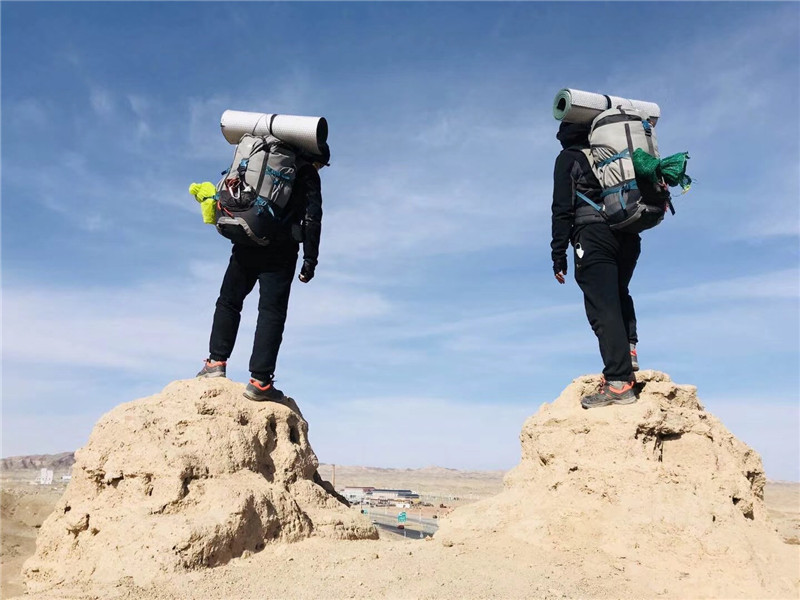 Camel Brothers on the way